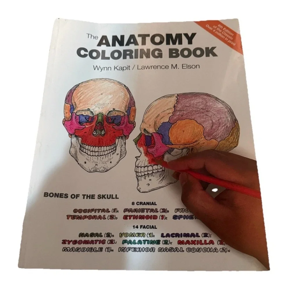 Anatomy Coloring Book by Wynn Kapit and Lawrence Elson 4th Edition